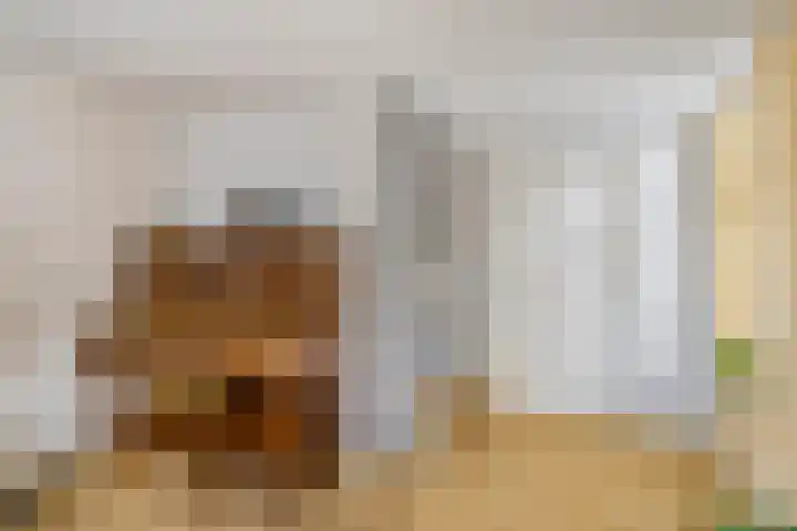 Annerweg 39 Zuidlaren thumbnail 15