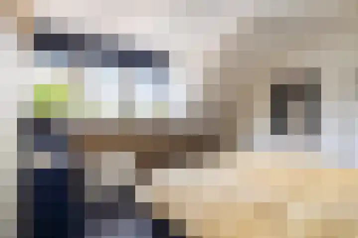 Annerweg 39 Zuidlaren thumbnail 17