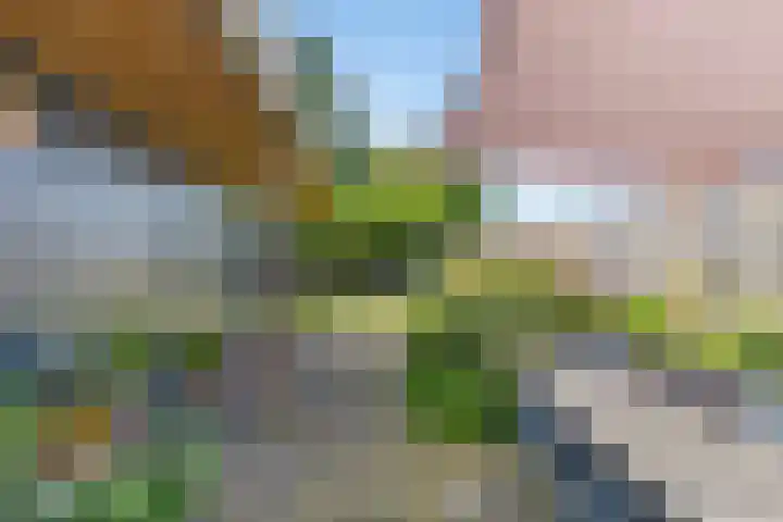 Annerweg 39 Zuidlaren thumbnail 23