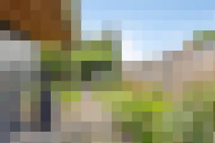 Annerweg 39 Zuidlaren thumbnail 26