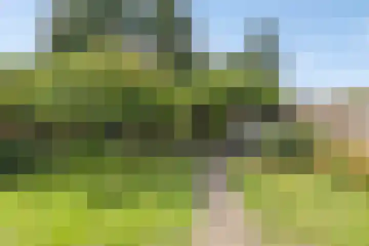 Annerweg 39 Zuidlaren thumbnail 27