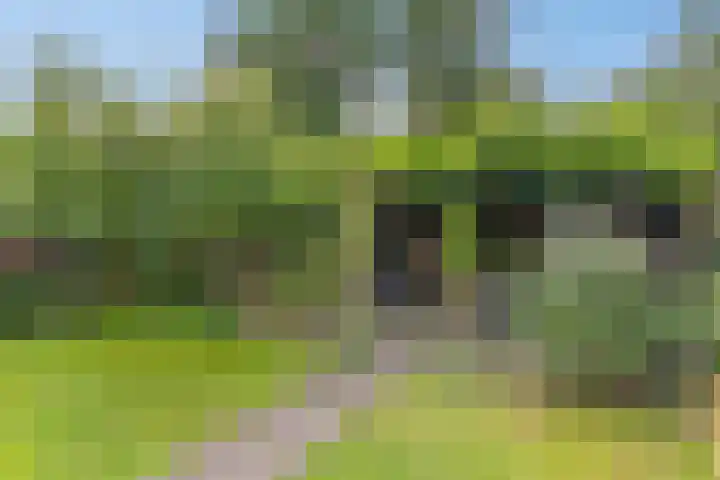 Annerweg 39 Zuidlaren thumbnail 28