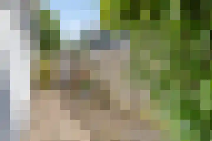 Annerweg 39 Zuidlaren thumbnail 31