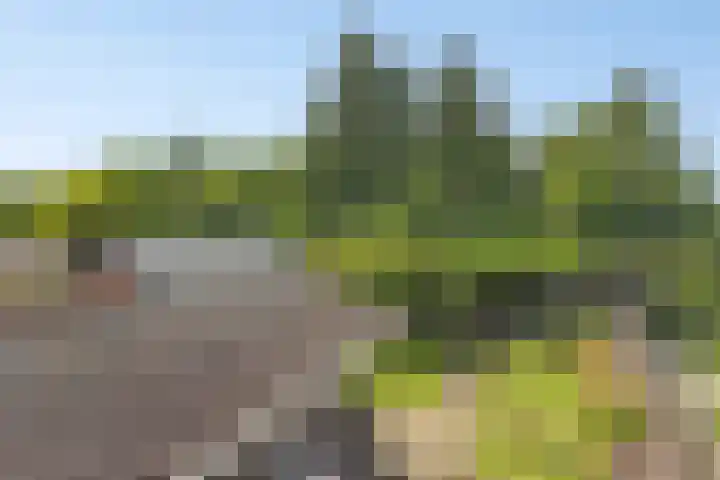 Annerweg 39 Zuidlaren thumbnail 32