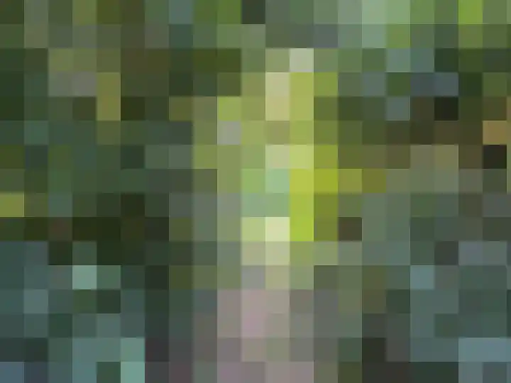 Annerweg 39 Zuidlaren thumbnail 34