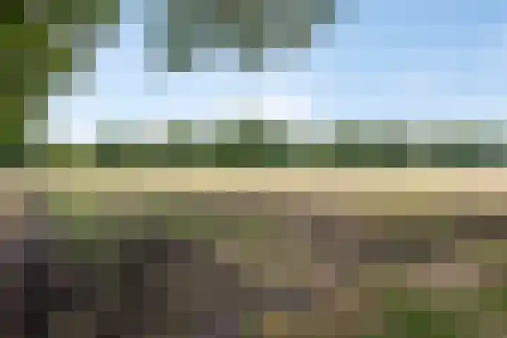 Annerweg 39 Zuidlaren thumbnail 35