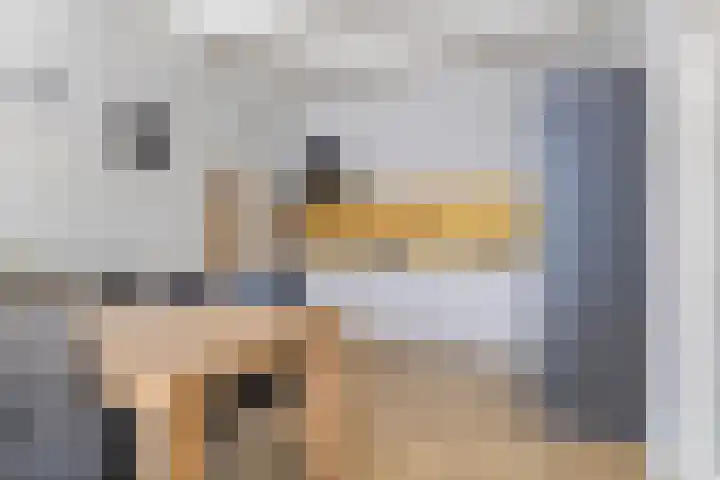 Annerweg 39 Zuidlaren thumbnail 8