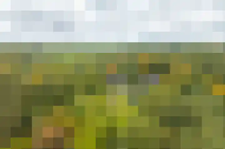 Annerweg 4 Eext