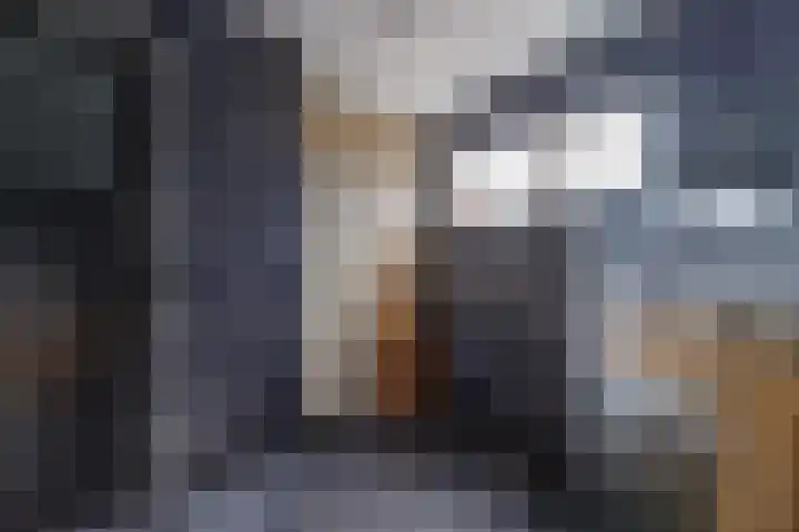 Annerweg 5 Zuidlaren thumbnail 41
