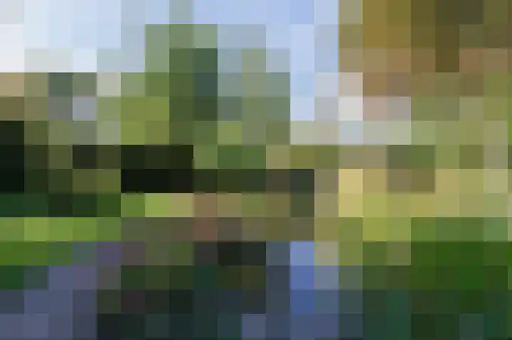Annerweg 5 Zuidlaren thumbnail 5