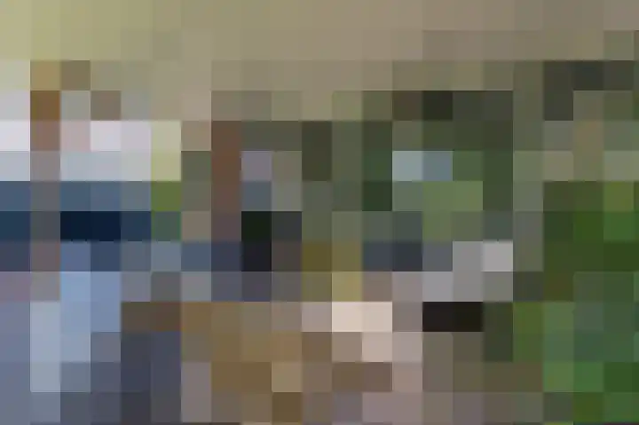 Annerweg 5 Zuidlaren thumbnail 53