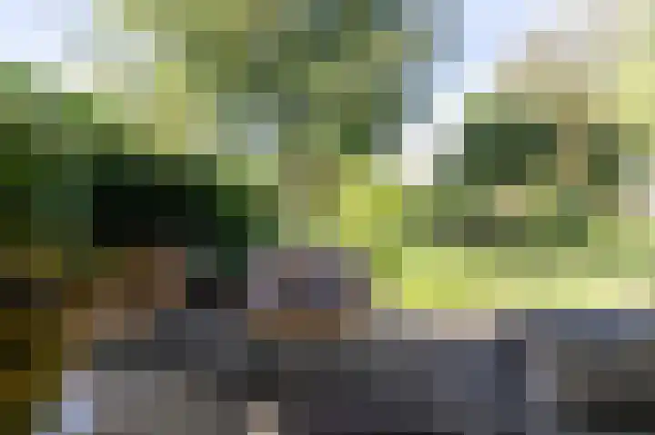 Annerweg 5 Zuidlaren thumbnail 54