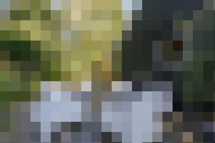 Annerweg 5 Zuidlaren thumbnail 55
