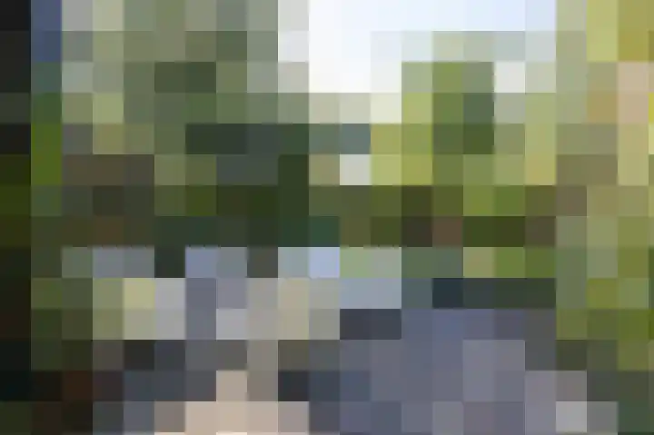 Annerweg 5 Zuidlaren thumbnail 56