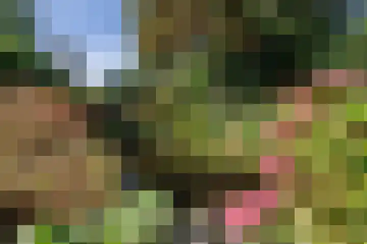 Annerweg 5 Zuidlaren thumbnail 57