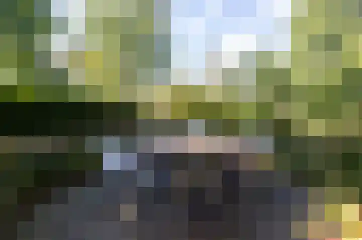 Annerweg 5 Zuidlaren thumbnail 58
