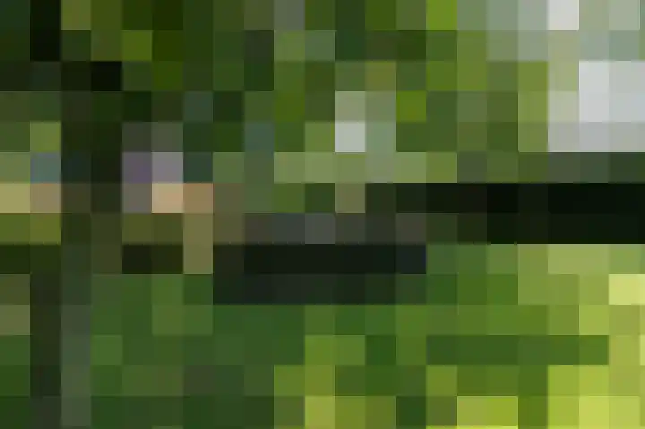 Annerweg 5 Zuidlaren thumbnail 59