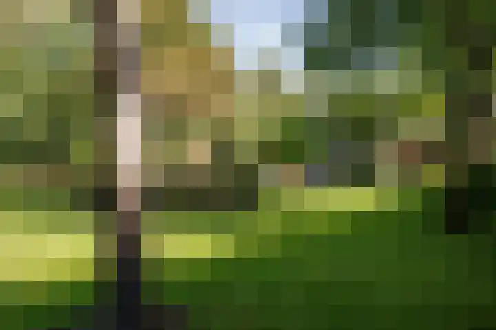 Annerweg 5 Zuidlaren thumbnail 61
