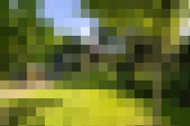 Annerweg 5 Zuidlaren thumbnail 62