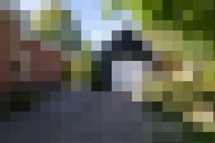 Annerweg 5 Zuidlaren thumbnail 63