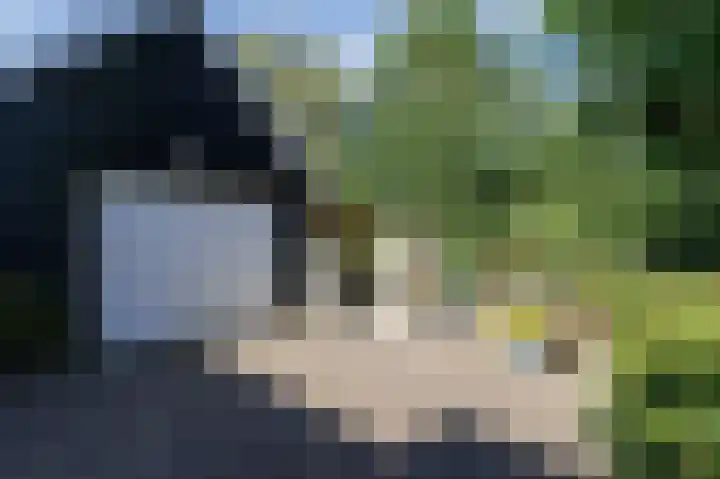 Annerweg 5 Zuidlaren thumbnail 65