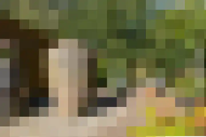 Annerweg 5 Zuidlaren thumbnail 66