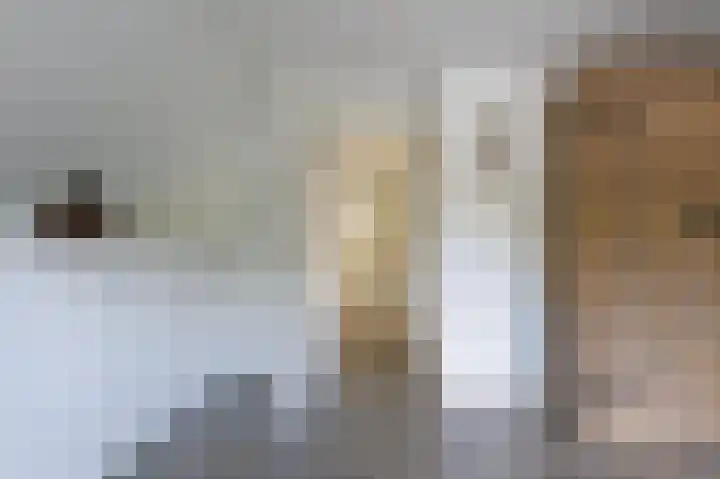 Annerweg 5 Zuidlaren thumbnail 86