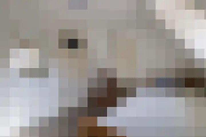 Annerweg 5 Zuidlaren thumbnail 89
