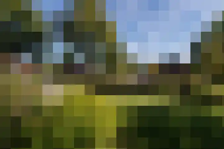 Annerweg 5 Zuidlaren thumbnail 91