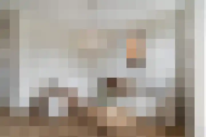 Annet Nieuwenhuijzengracht 11 Berkel en Rodenrijs thumbnail 13