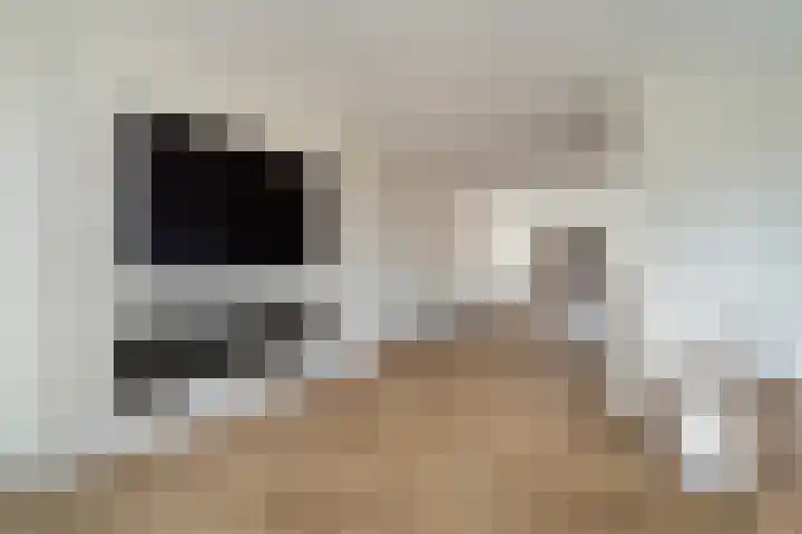 Annet Nieuwenhuijzengracht 11 Berkel en Rodenrijs thumbnail 14