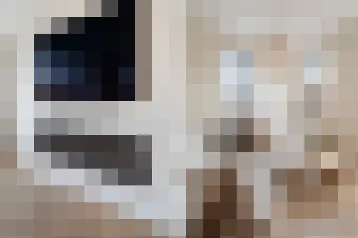 Annet Nieuwenhuijzengracht 11 Berkel en Rodenrijs thumbnail 16