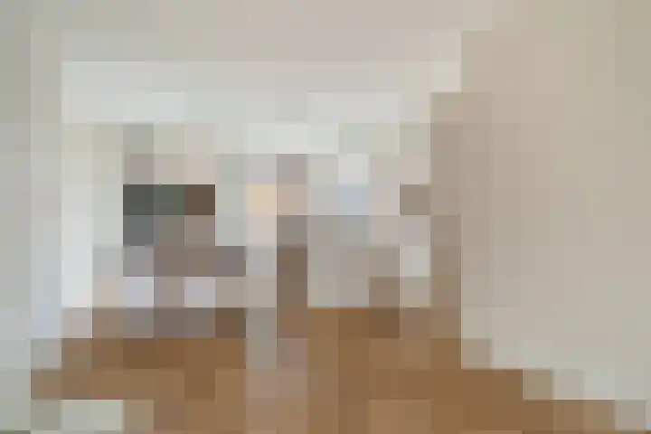 Annet Nieuwenhuijzengracht 11 Berkel en Rodenrijs thumbnail 18