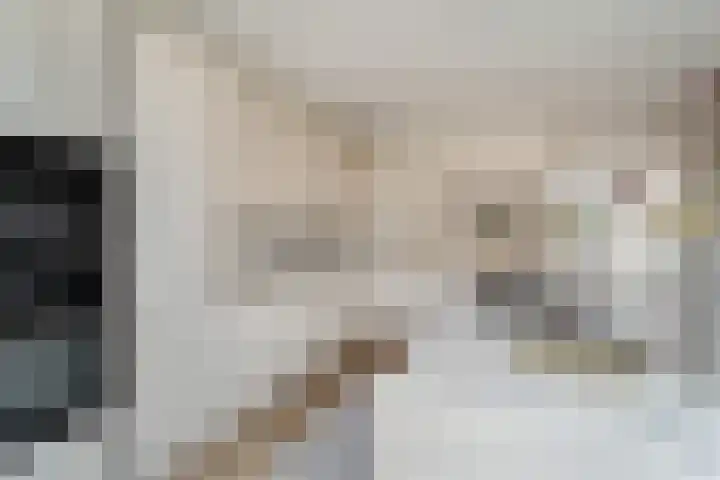 Annet Nieuwenhuijzengracht 11 Berkel en Rodenrijs thumbnail 20