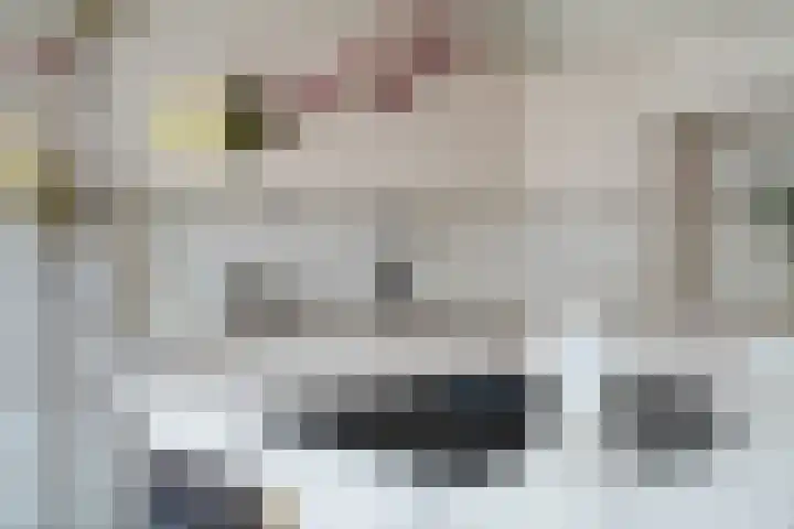 Annet Nieuwenhuijzengracht 11 Berkel en Rodenrijs thumbnail 24
