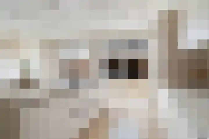 Annet Nieuwenhuijzengracht 11 Berkel en Rodenrijs thumbnail 26
