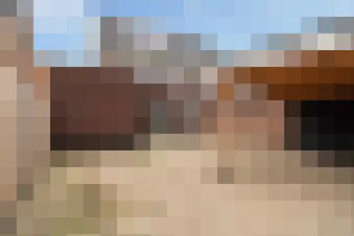 Annet Nieuwenhuijzengracht 11 Berkel en Rodenrijs thumbnail 31