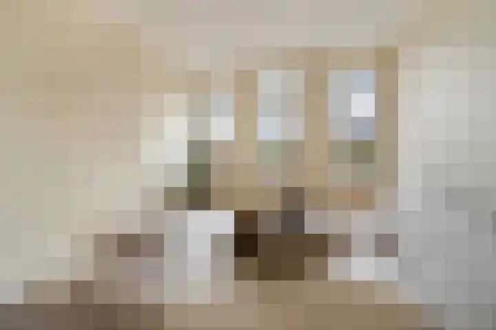 Annet Nieuwenhuijzengracht 11 Berkel en Rodenrijs thumbnail 40