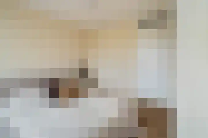 Annet Nieuwenhuijzengracht 11 Berkel en Rodenrijs thumbnail 43