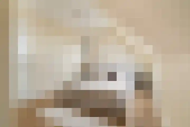 Annet Nieuwenhuijzengracht 11 Berkel en Rodenrijs thumbnail 67