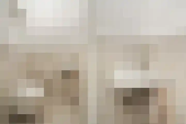 Annet Nieuwenhuijzengracht 11 Berkel en Rodenrijs thumbnail 9