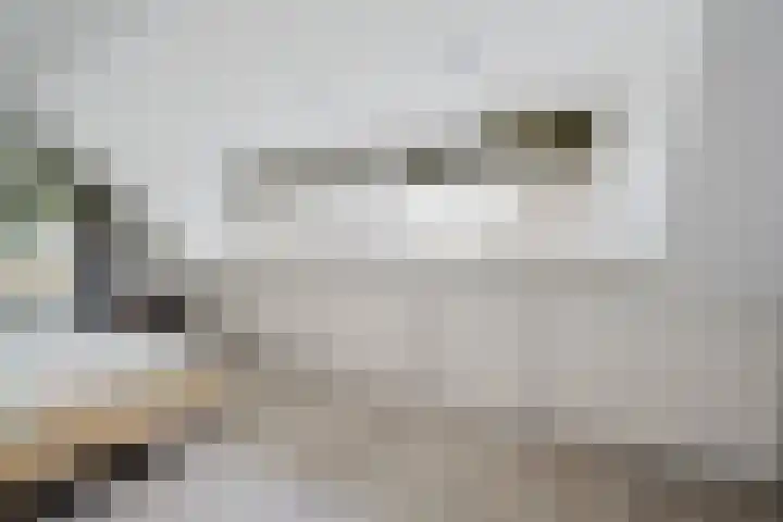 Annette Versluys-Poelmanstraat 13 Spijkenisse thumbnail 27