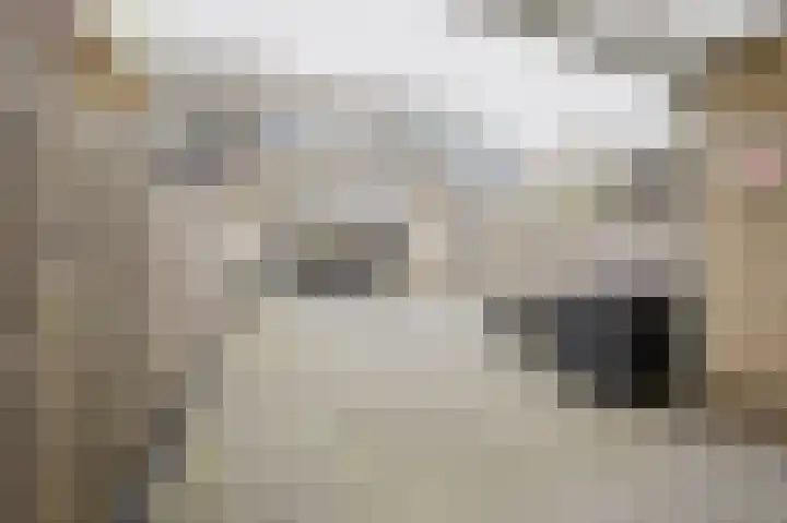 Annette Versluys-Poelmanstraat 13 Spijkenisse thumbnail 5