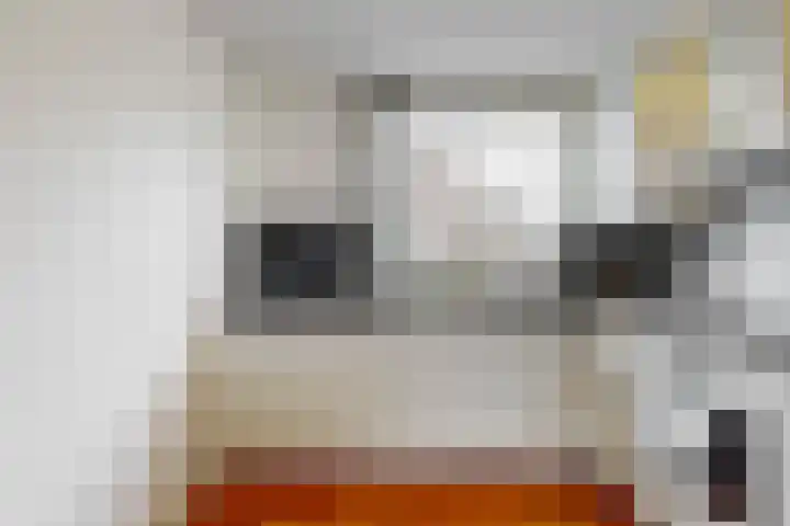 Annette Versluys-Poelmanstraat 17 Spijkenisse thumbnail 17