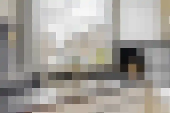 Annette Versluys-Poelmanstraat 17 Spijkenisse thumbnail 18