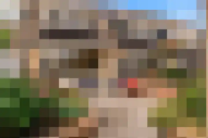 Annette Versluys-Poelmanstraat 17 Spijkenisse thumbnail 39