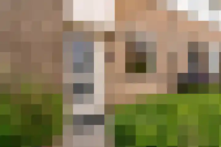 Annette Versluys-Poelmanstraat 17 Spijkenisse thumbnail 7