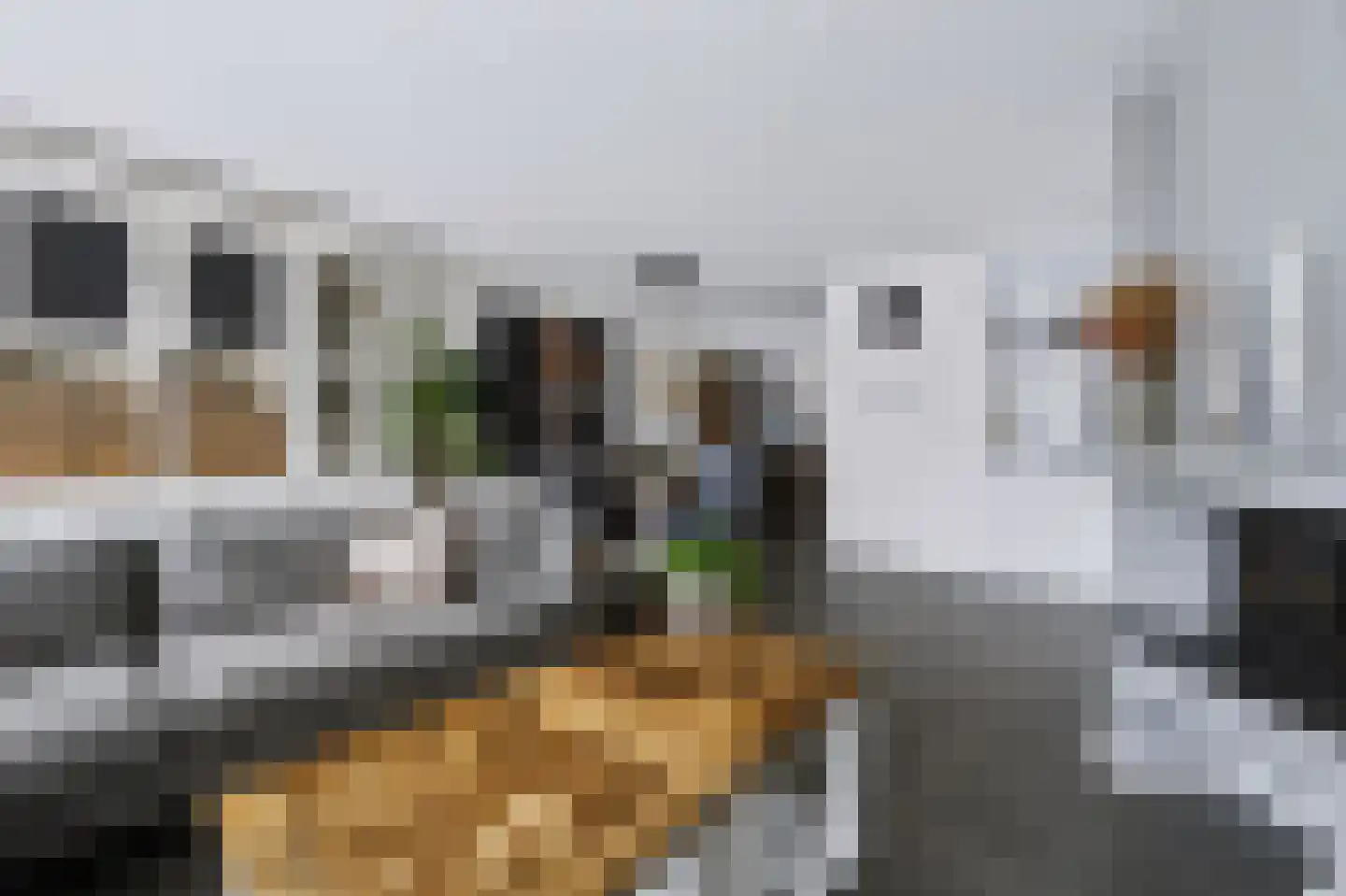 Annette Versluys-Poelmanstraat 29 Spijkenisse thumbnail 10