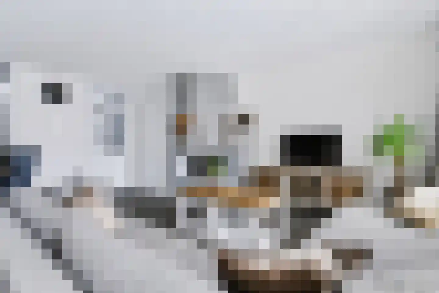 Annette Versluys-Poelmanstraat 29 Spijkenisse thumbnail 11