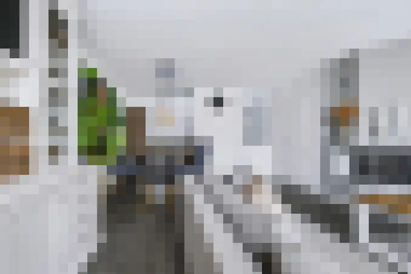 Annette Versluys-Poelmanstraat 29 Spijkenisse thumbnail 12